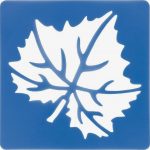 lot-darbres-feuilles-12-pochoirs-de-950753-1