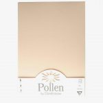 21×297-tui-de-feuilles-120g-ivoire-pollen-50-format-cm-clairefontaine-122565-1