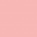 paquet-format-chemises-100-220g-cm-forever-24×32-rose-de-669431-1