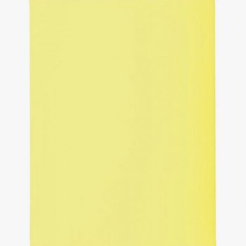 Paquet de 50 chemises 2 rabats 210g format 24x32 cm Jaune canari