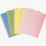 Set of 25 assorted FOREVER reinforced spine folders
