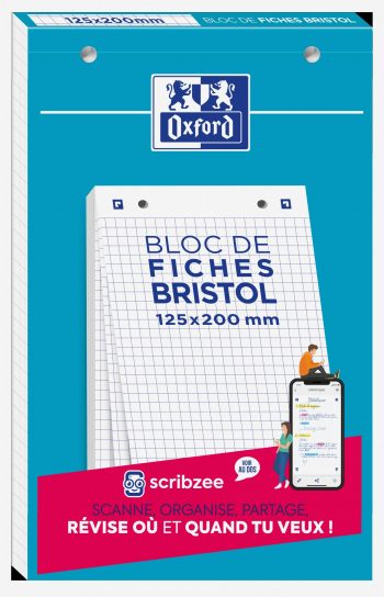 Bloc de 30 fiches bristol perforées 2 trous quadrillé 5x5 format 125 x 300 mm