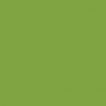 seys-conquerant-vert-96-cm-17-pages-22-x-cahier-90g-513138-1