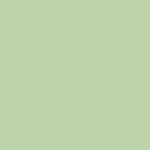 de-evercolor-de-format-feuilles-papier-clair-recycl-vert-de-80g-500-ramette-a4-868448-1