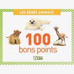 Set of 100 Animal Babies Photo Cards