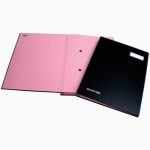 Document Organizer with 12 Black Compartments