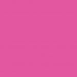 rose-punch-2-hole-capacity-30-sheet-wow-706907-1