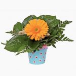 10-set-cardboard-10-pots-flower-high-cm-525772-1
