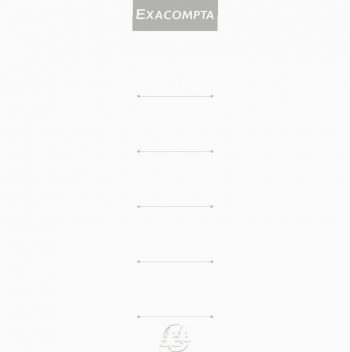 Set of 10 white cardboard labels for lever arch files, size 18x3 cm