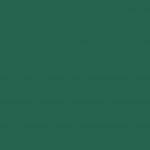 -maxi-levier-cm-a4-en-vert-dos-fonc-classeur-8-format-plastique-premtouch-189751-1