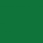 10-angled-cm-spine-back-pvc-filing-box-green-138593-1