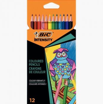 Pochette 12 crayons de couleur Color UP