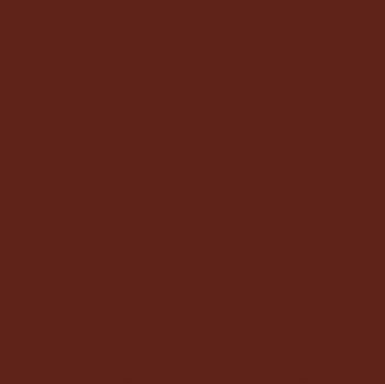 Paquet de 25 feuilles Cartoline 50x65 cm 120 g chocolat