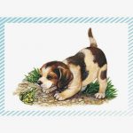 chiens-boite-de-et-petits-petits-images-100-chats-370387-1