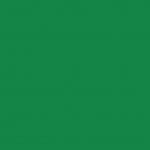 vert-carte-de-25-de-en-mm-bote-classement-coloris-graine-dos-839497-1