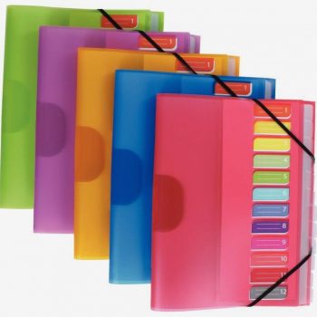 Polypropylene Organizer Color Fresh with 12 Sections, 3 Flaps & Elastic Bands