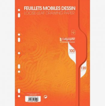 Sachet 50 feuillets mobiles dessin (100 pages) format 21x29,7 cm 120g uni blanc