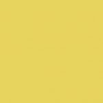 jaune-citron-feuilles-couleur-160-cm-format-de-50×65-dessin-paquet-10-papier-g-816000-1