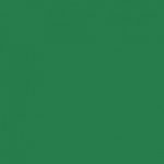 Set of 25 dark green cardstock sheets 50x65 cm, 120 gsm