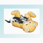 chiens-boite-de-et-petits-petits-images-100-chats-370387-1