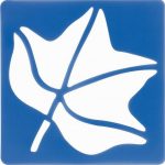 lot-darbres-feuilles-12-pochoirs-de-950753-1