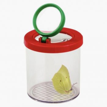 Boite loupe d'observation