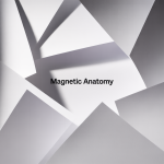 magnetic-set-human-anatomy-double-sided-597670-1