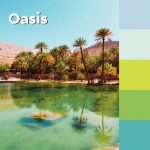 90-de-feuilles-collection-sticky-76x76mm-5-paquet-notes-oasis-it-post-super-blocs-746394-1