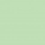 pack-green-paper-500-trophee-golf-sheets-a3-clairefontaine-80gsm-744975-1