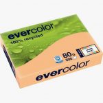 Pack of 500 sheets A3 80gsm salmon recycled paper EVERCOLOR