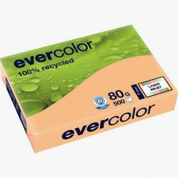 Pack of 500 sheets A3 80gsm salmon recycled paper EVERCOLOR