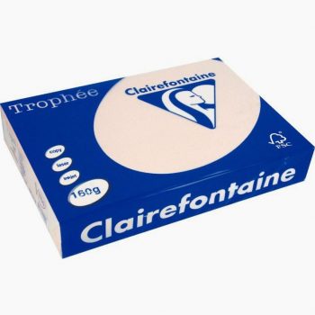 Pack of 250 salmon A3 sheets, 160gsm paper, Clairefontaine Trophée