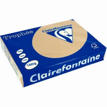Pack of 250 A4 caramel sheets, 160gsm, TROPHEE CLAIREFONTAINE