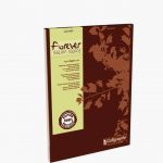 bureau-70g-forever-papier-a5-bloc-format-recycl-100-feuilles-quadrill-5×5-de-410625-1