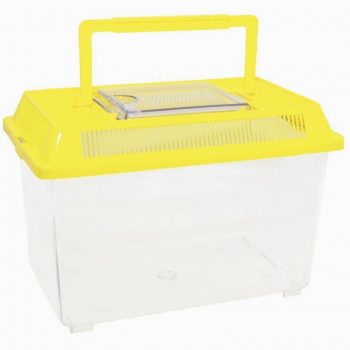 Carton de 2 boites à insectes en plastique