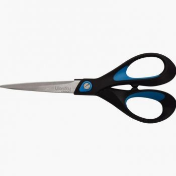 EVERBLUE Precision Pointed Scissors 17 cm
