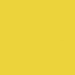 spine-yellow-cm-set-boxes-polypropylene-10-honeycomb-archive-10-202019-1