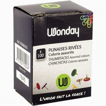 Box of 100 colored head push pins