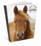 scolaire-agenda-12x17cm-cheval-broch-2024-2025-920362-1