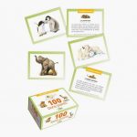 babies-photo-animal-cards-100-set-441425-1