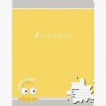iv-sheets-3mm-cm-assorted-lines-double-70gsm-writing-colors-32-notebook-conquerant-17×22-419112-1