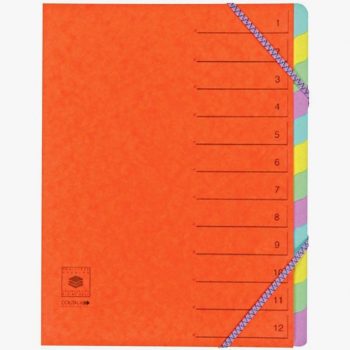 Glossy Cardboard Sorter, 12 Sections, Elastic Closure, 5/10 Thickness