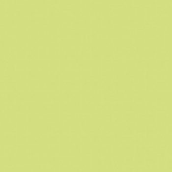 Paquet de 25 feuilles Cartoline 50x65 cm 120 g vert clair