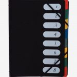 Polypropylene Organizer with 8 Sections, Elastic Closure, Black Cover
