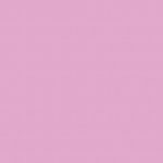 with-forever-25-folders-stiff-lilac-canvas-pack-spine-475429-1